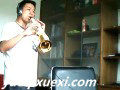 盛夏的果实高音萨克斯版