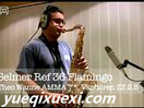 萨克斯演奏FLY ME TO THE MOON Selmer