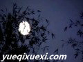 月光下的风尾竹萨克斯版